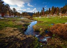 meadow sunrise.jpg